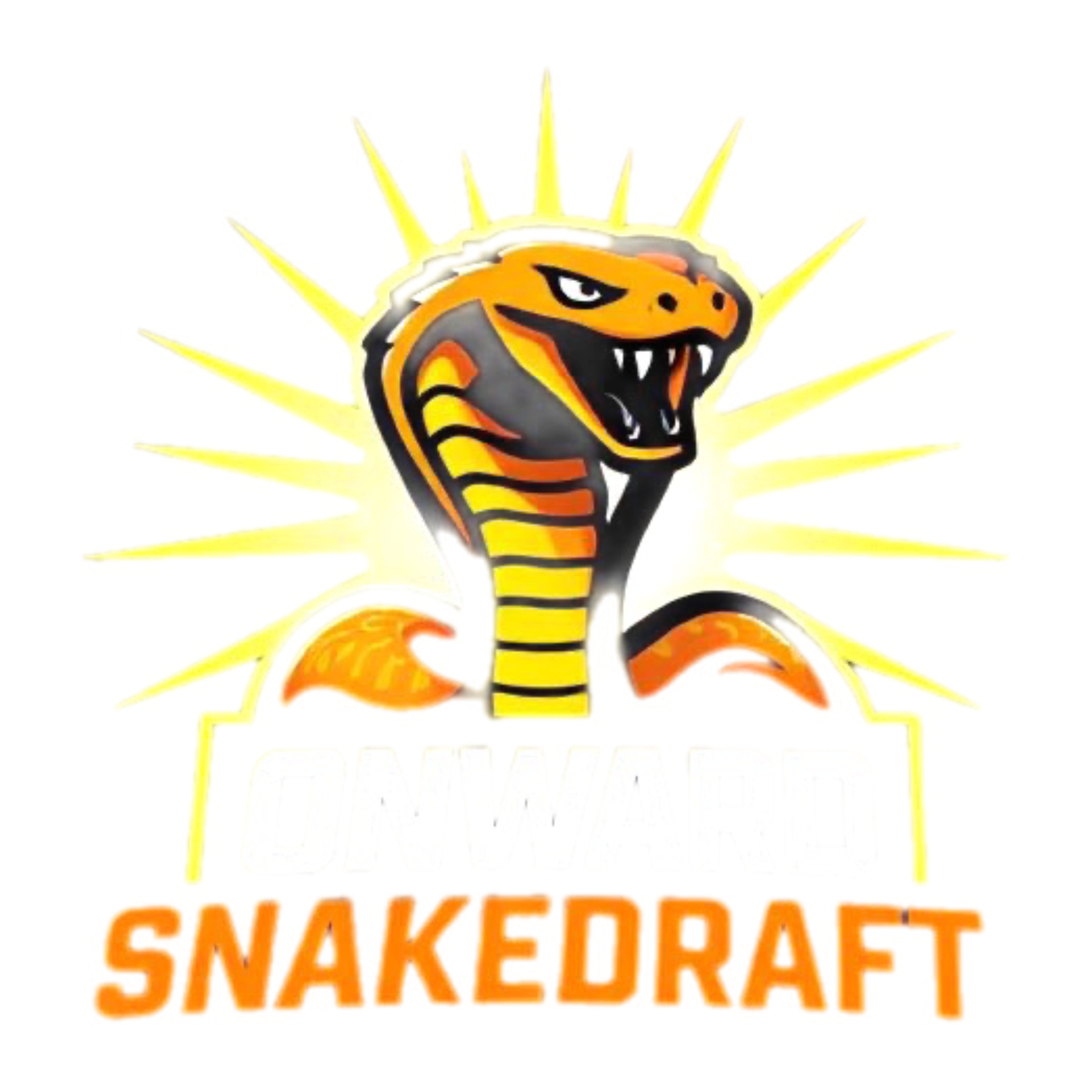 Snake Draft Tournament